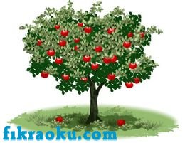 Elma Ağacı